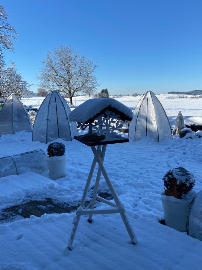 Das Blaue Haus - Ein Sommertraum Und Ein Wintermaerchen Weiler Simmerberg Bagian luar foto