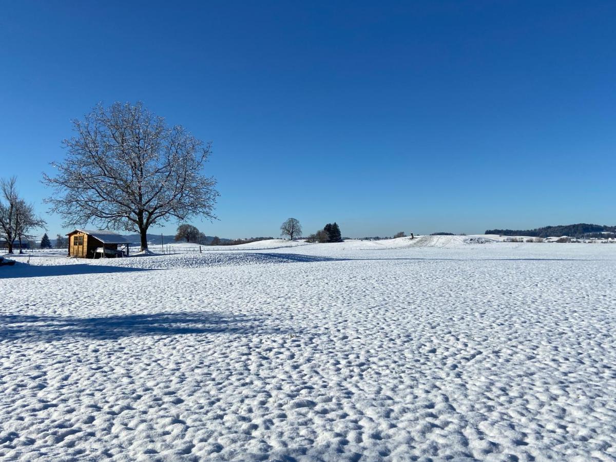 Das Blaue Haus - Ein Sommertraum Und Ein Wintermaerchen Weiler Simmerberg Bagian luar foto